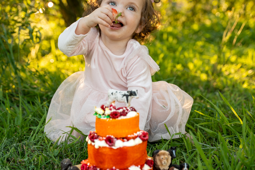 Melonen-Torte für das Baby zum ersten Geburtstag