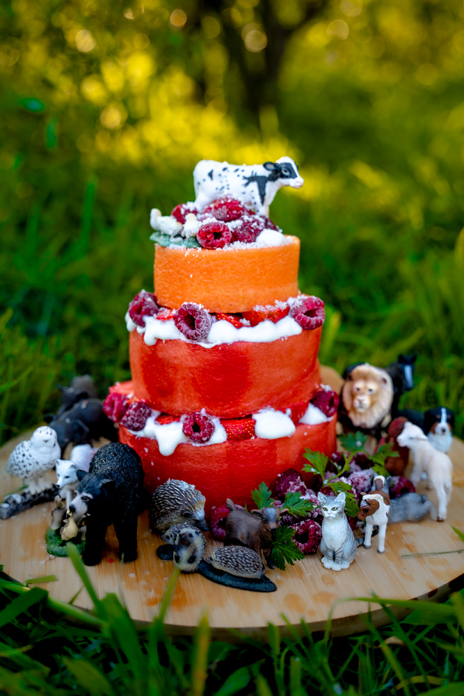 wassermelonen torte geburtstag baby gesunde torte kuchen alernative