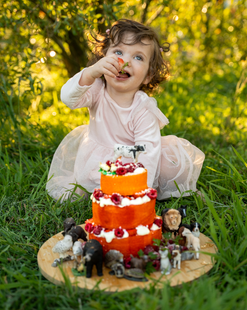 wassermelonen torte geburtstag baby gesunde torte kuchen alernative